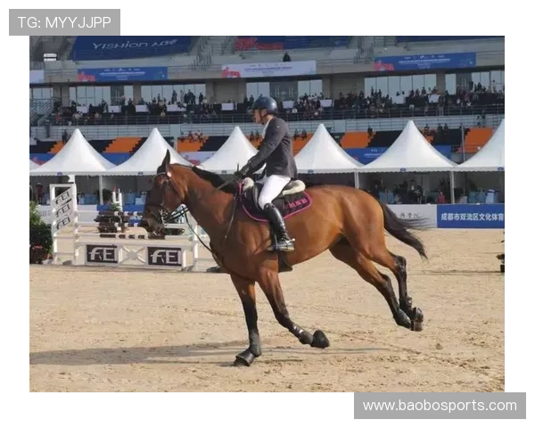 伯乐体育：创新引领体育产业发展新趋势 打造全方位体育生态系统